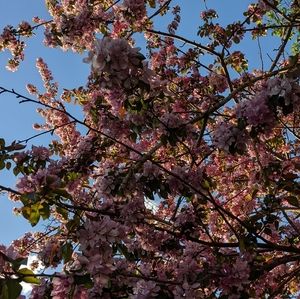 Bundle listing for gonegirlcloset